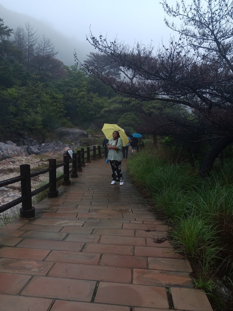 The current image has no alternative text. The file name is: 20250521_144432.jpg